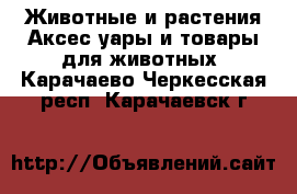 Животные и растения Аксесcуары и товары для животных. Карачаево-Черкесская респ.,Карачаевск г.